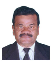 S. Perumal Pillai